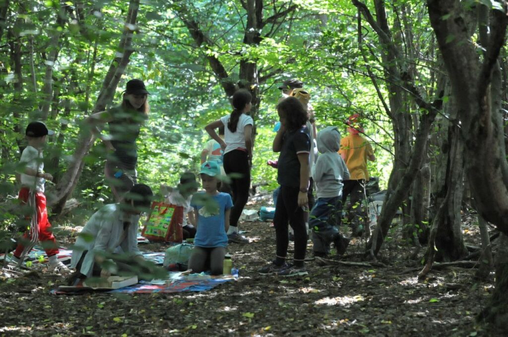 Activités en forêt