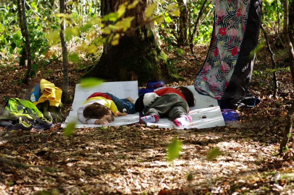 Campement en forêt pour faire la sieste