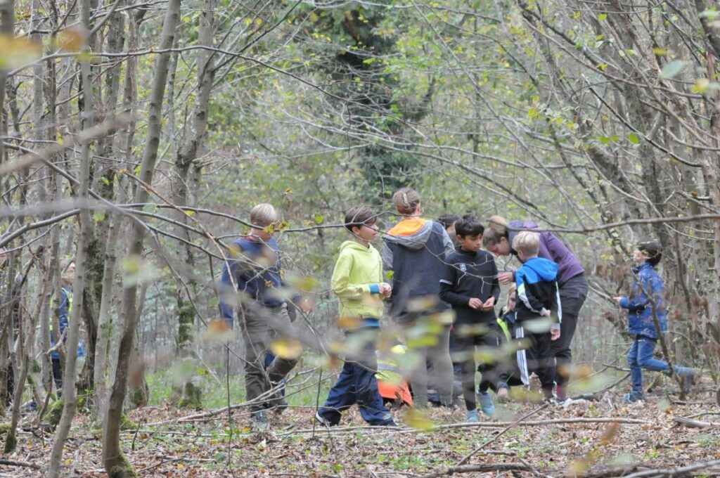 A la découverte de la forêt